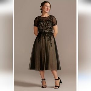 Oleg Cassini Net Tea-Length Dress with Short Sleeves Black/Champagne Size 12